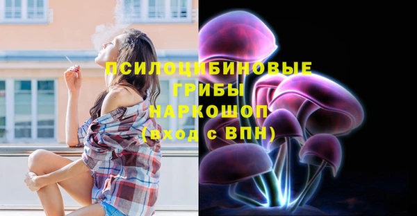 spice Алексин