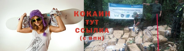 кокс Алзамай