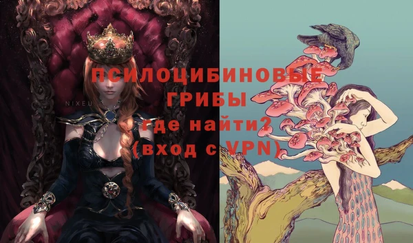 стафф Алексеевка