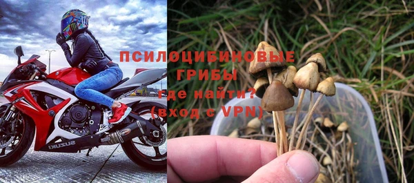 стафф Алексеевка