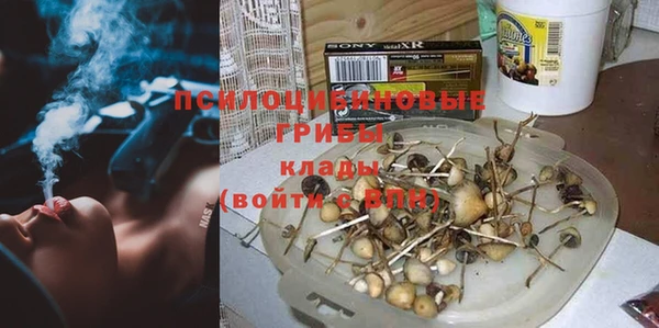 spice Алексин