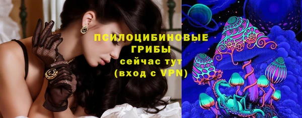 стафф Алексеевка