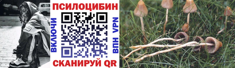 Псилоцибиновые грибы Magic Shrooms  Купить  Нерюнгри 